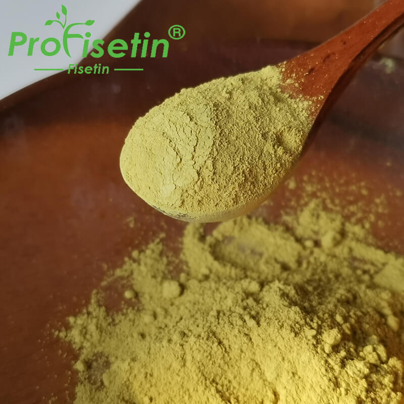 Fisetin